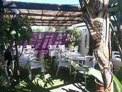 Guacamayo Caños de Meca